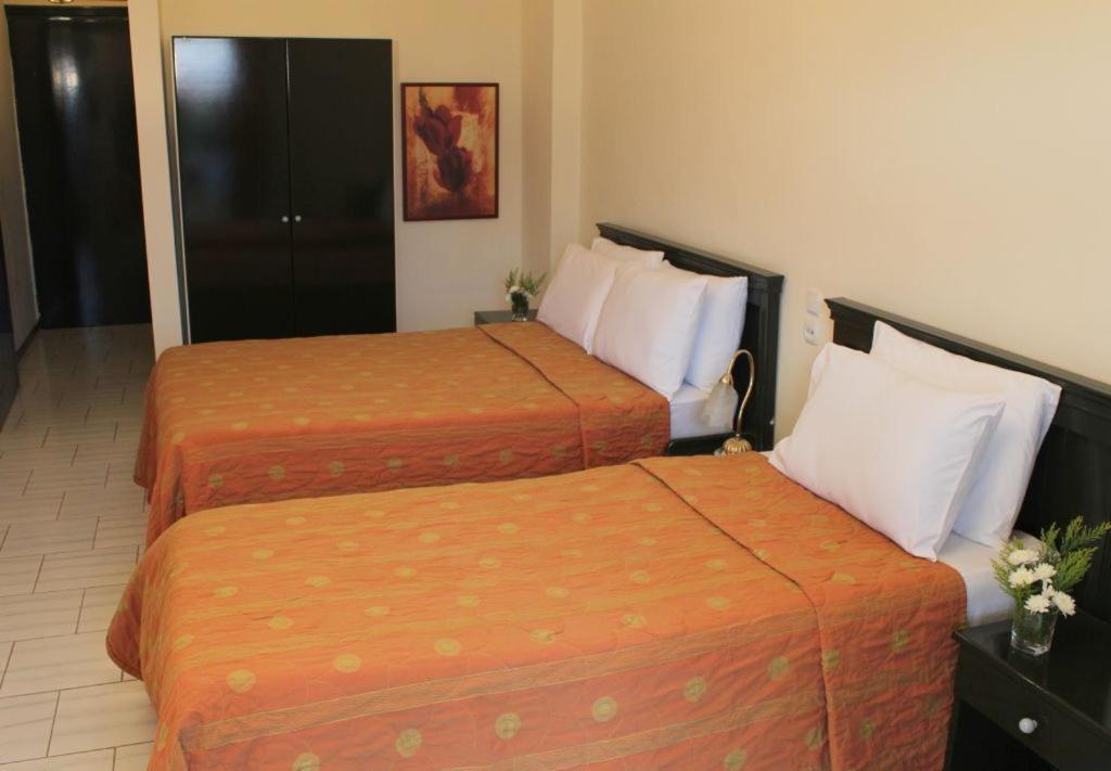 Famissi Eden Hotel Kalambaka Quarto foto