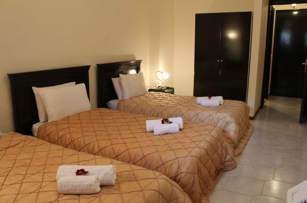Famissi Eden Hotel Kalambaka Quarto foto